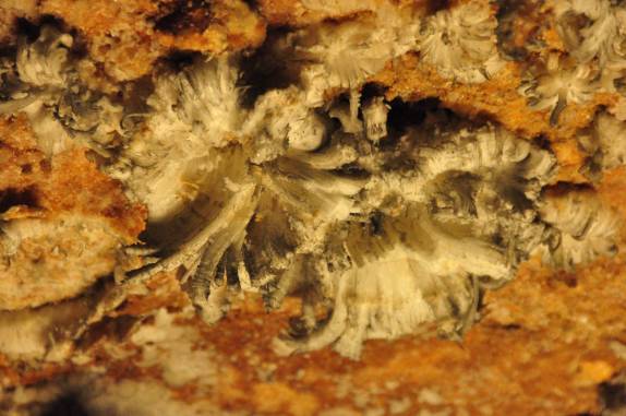 Formações mineirais na Mammoth Cave, Parque Nacional no Kentucky, Estados Unidos